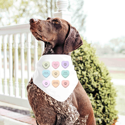 Candy Hearts Dog Bandana - Sunshine Soul MD