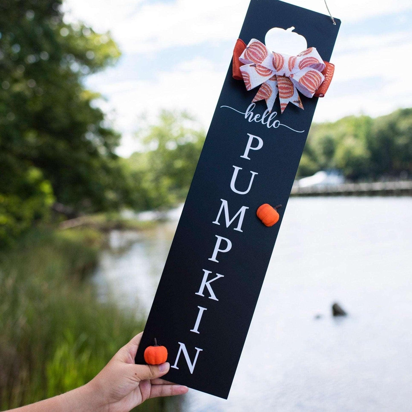 Hello Pumpkin Sign - Sunshine Soul MD